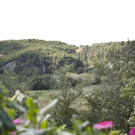 Apartamento Sassolino Vacanze *